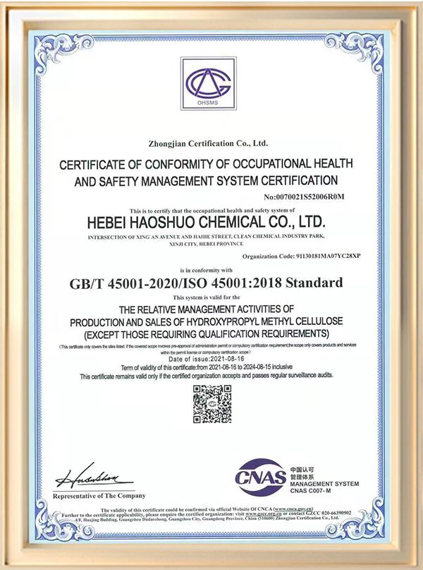 Occupational Health and Safety Management System Certification